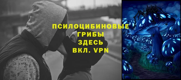 марихуана Новодвинск