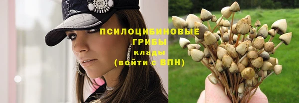 apvp Новозыбков