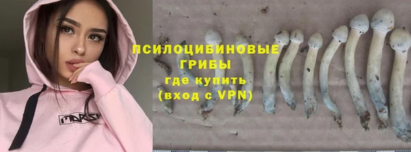 марихуана Новодвинск