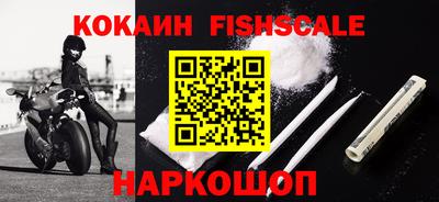 шишки Абакан