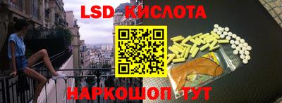 шишки Абакан