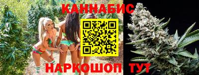шишки Абакан