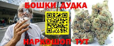 шишки Абакан
