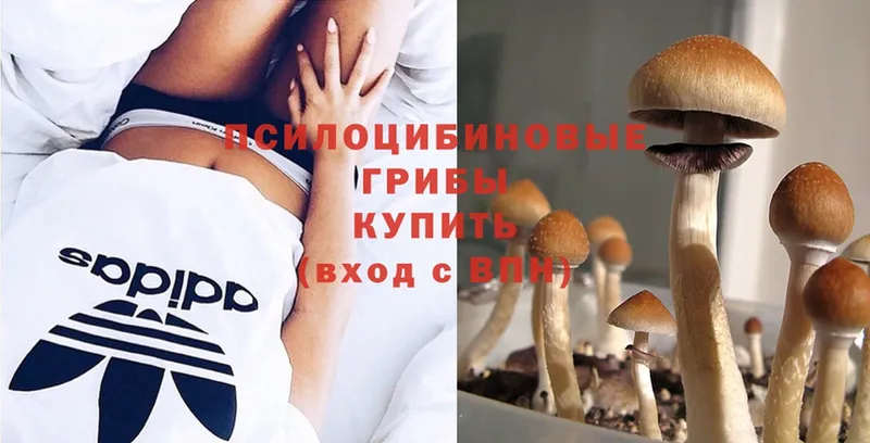 Галлюциногенные грибы Magic Shrooms  купить   Апатиты 