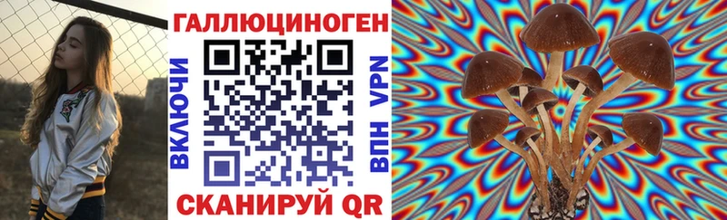 Галлюциногенные грибы Psilocybine cubensis  как найти наркотики  Апатиты 