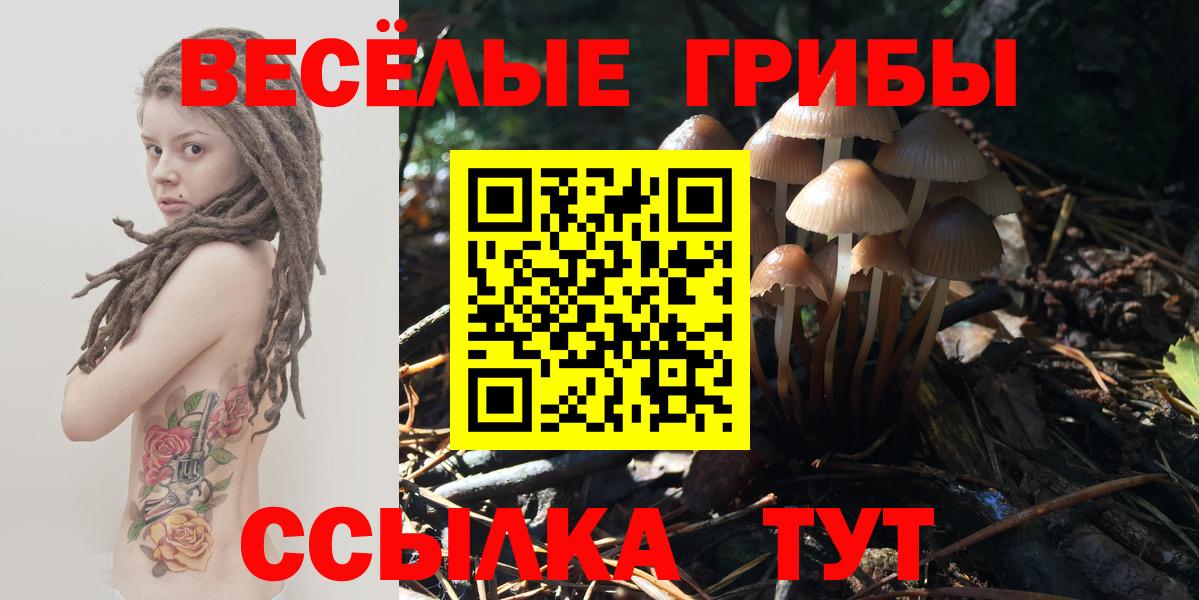 Псилоцибиновые грибы Magic Shrooms  Вход с VPN  Апатиты 