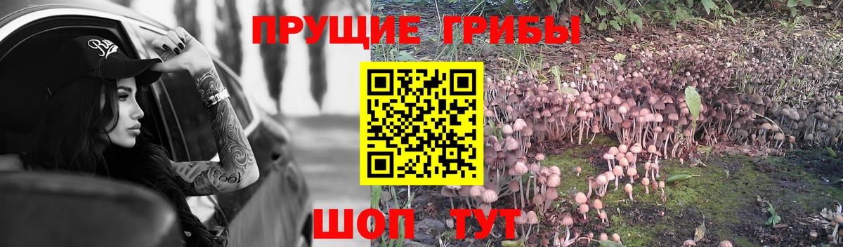 Галлюциногенные грибы Cubensis  Апатиты 