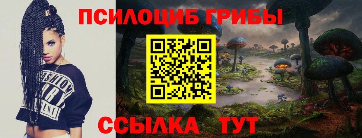 Апатиты  Псилоцибиновые грибы мухоморы  Вход с VPN 