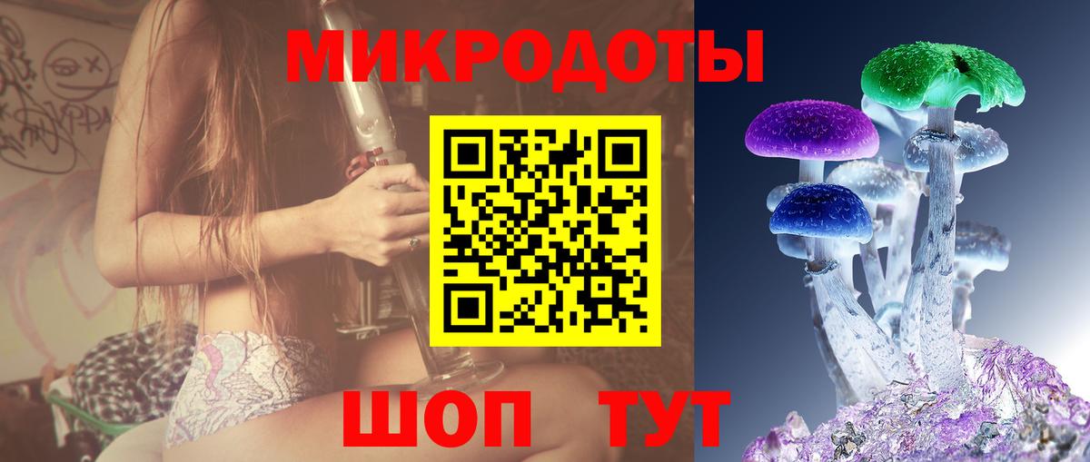 Галлюциногенные грибы Psilocybine cubensis Апатиты