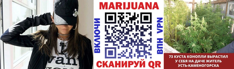 Марихуана THC 21%  Апатиты 